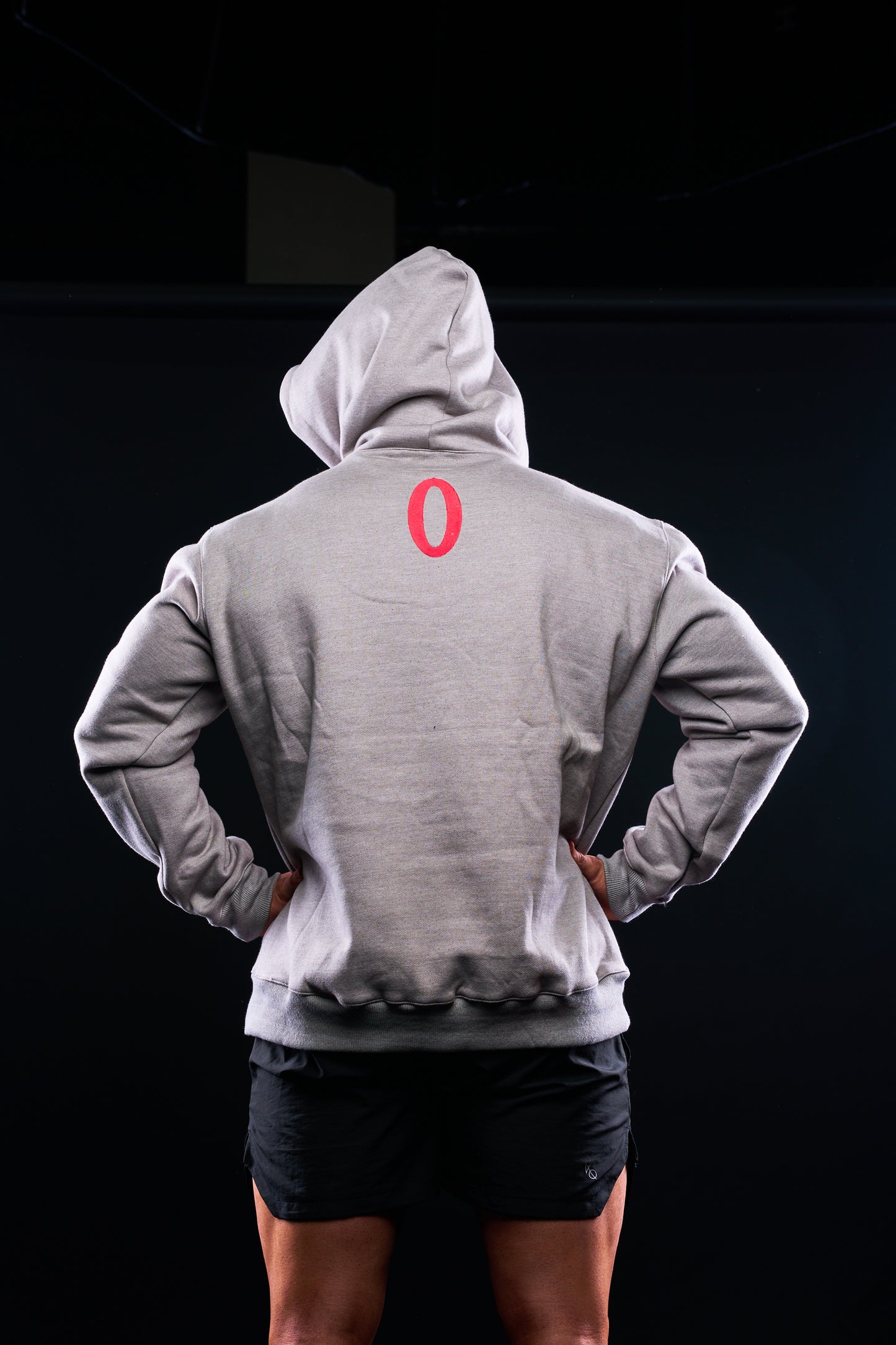 Olympia Embroidered Grey Pullover Hoodie